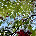 ���� �, ��������, 20 ��� - ��������� 18 ��� 2024