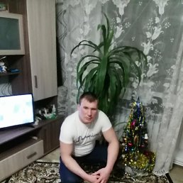 �������, 37 ���, ����