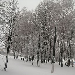 �������, �����, 53 ����