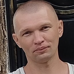 ������, ������, 41 ���