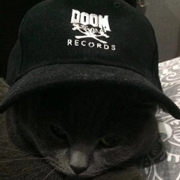 ����, �����-���������, 18 ���