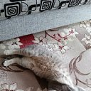 ���� ������, ������������ - ��������� 12 ������ 2025 � ������ ������ ��������