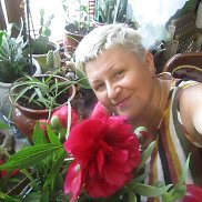 ������, 58 ���, ���������