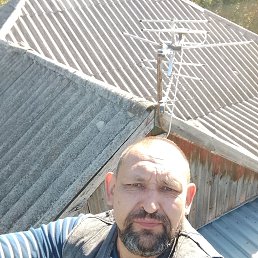 , 46 , 