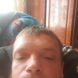 , 37, 