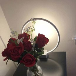 Dssz, ����, 51 ���