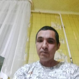 �����, 49 ���, ������