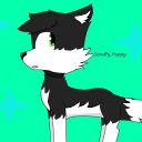 ���� Bim The Husky, Miami, 25 ��� - ��������� 15 �������� 2024 � ������ ���� ����������