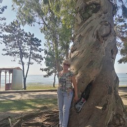 ���� �����, ������������, 63 ���� - ��������� 29 ������� 2024