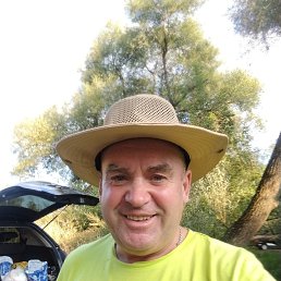 , 56 , 
