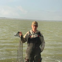 �����, ������������, 38 ���