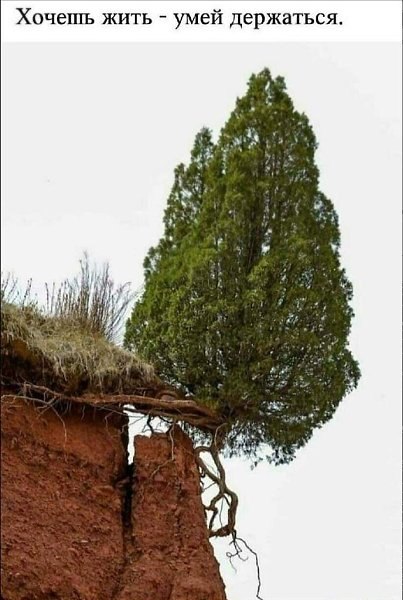 Juri - 2  2025  14:14