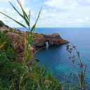 ���� ����, �����������, 57 ��� - ��������� 10 ������� 2024 � ������ ���� � ����������