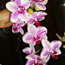 ���� ���������, �������, 37 ��� - ��������� 14 ������ 2025 � ������ ���� ����������