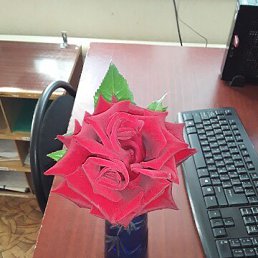 ���� �����, ���������, 58 ��� - ��������� 18 ��� 2026