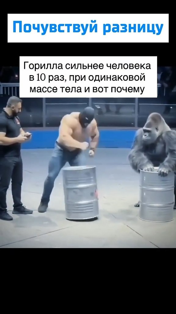 ������� � ���� ��������. ������ �������� ���� ������� � ����� � ���������� ������ ����. ��������� ... - 2