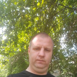 , 37,  