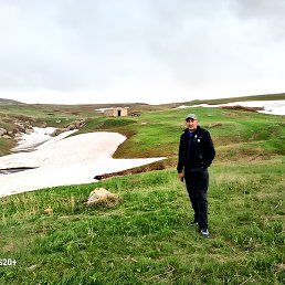 �����, �����, 46 ���