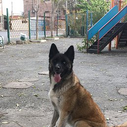 Monte, ������, 90 ���