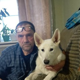 �������, ���������, 53 ����