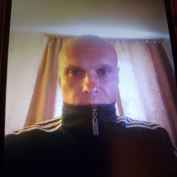 , 48, 