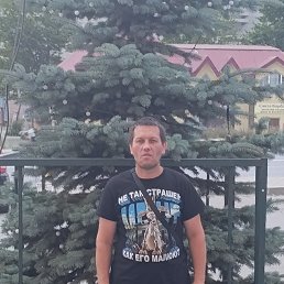 , 40 , 