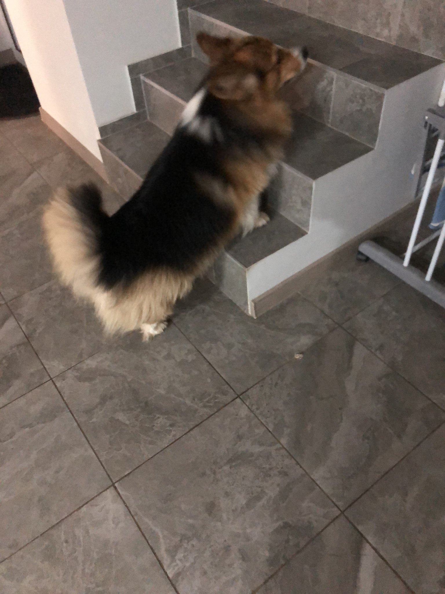 -- - 20  2025  22:37