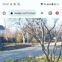 ���� ��������, ������������, 43 ���� - ��������� 8 ������� 2024 � ������ ���� ����������