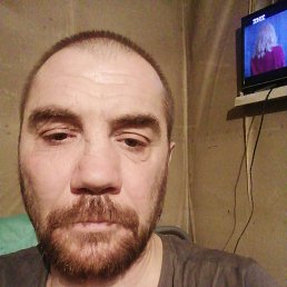 ������, 43 ����, �����������