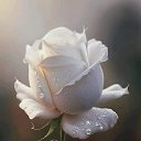 ���� �������, ������, 65 ��� - ��������� 27 ������ 2025 � ������ ���� ����������