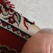 �����, 59 ���, �����������