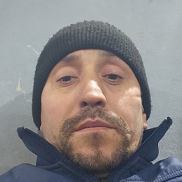 �����, ������, 43 ����