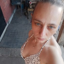 �, ����, 44 ����
