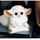 �������� ����� �� ������� ���� ����������