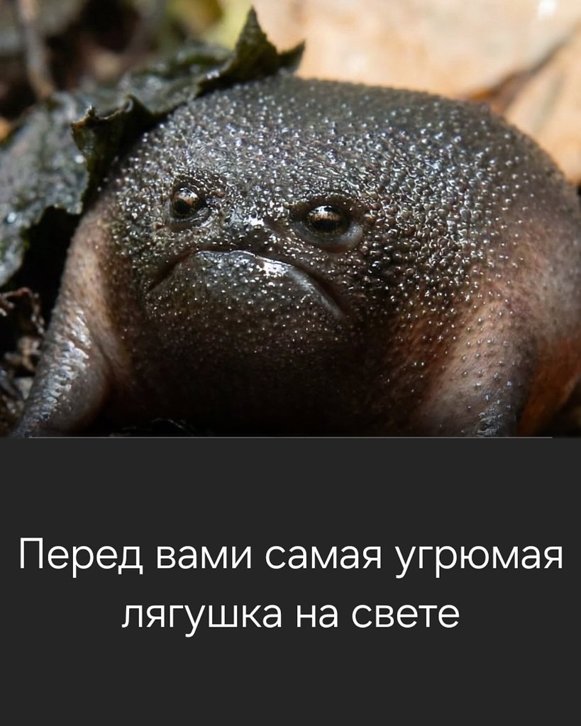 � ��� ����� � ������� ����������