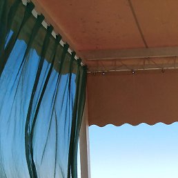 �����, ����, 62 ����