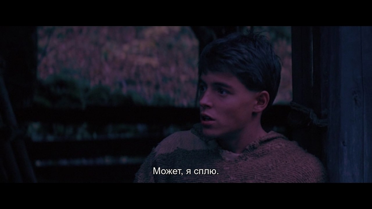 ����-������ / Ladyhawke, 1985.dir. Richard Donner
