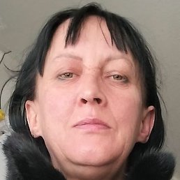 ����, �����������, 46 ���