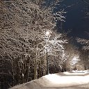 ���� �����, �������, 56 ��� - ��������� 26 ������� 2023 � ������ ���� ����������