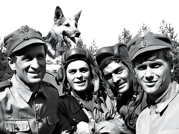 :) ШАРИК. Все, кому за сорок, хорошо помнят этот замечательный фильм. "Четыре танкиста и ... - 7