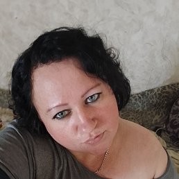 ����, 41 ���, �������