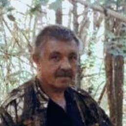 �������, ������, 65 ���