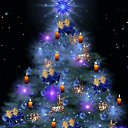 ���� �������, �����-��������� - ��������� 1 ������ 2024 � ������ ������