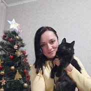 ������, 41 ���, ����