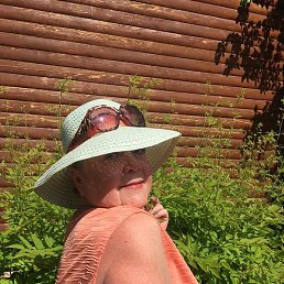 �����, ������, 73 ����