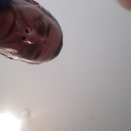 , 53, 