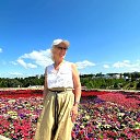 ���� ��������, ���������, 65 ��� - ��������� 8 ����� 2026