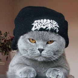 Stanislav, ��������, 41 ���