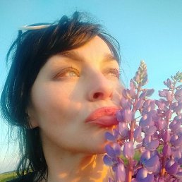 �����, �����-���������, 50 ���