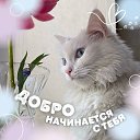 ���� ������, ������, 68 ��� - ��������� 7 ��� 2024 � ������ ���� ����������